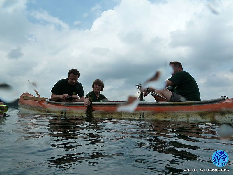 Datei:1.Pflanzboot.jpg