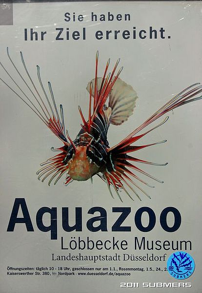 Datei:Aquazoo12.jpg